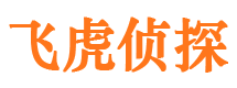 大渡口市侦探调查公司